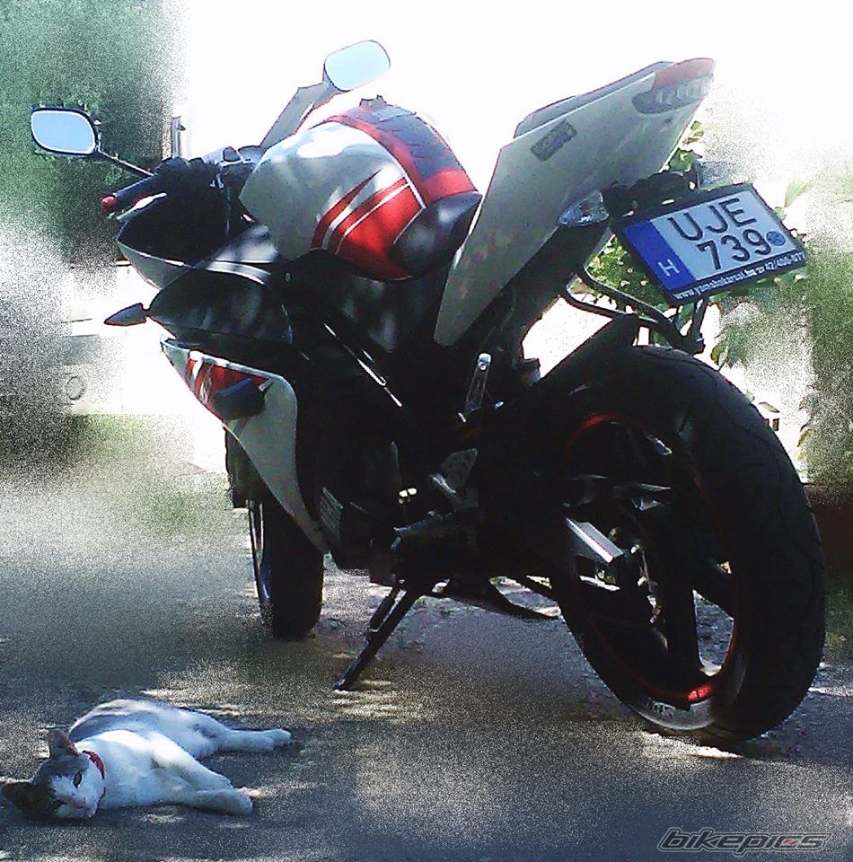 Bike Photo 2718167