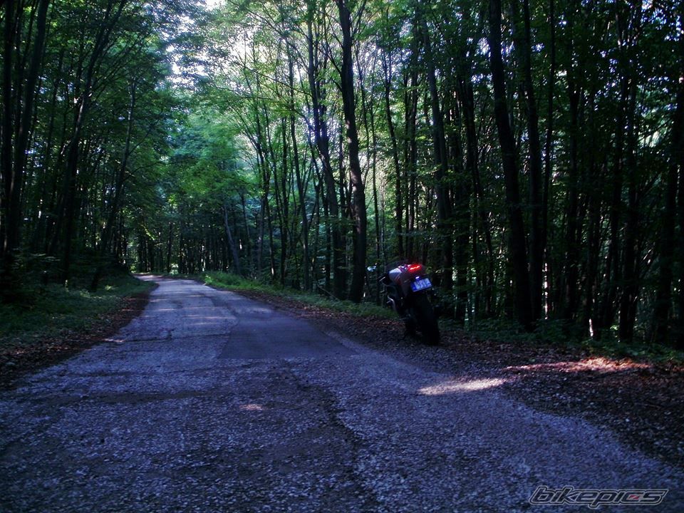 Photo 2718173