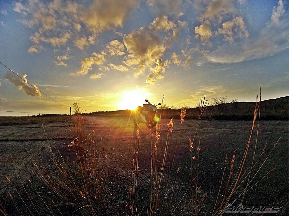 Photo 2718175