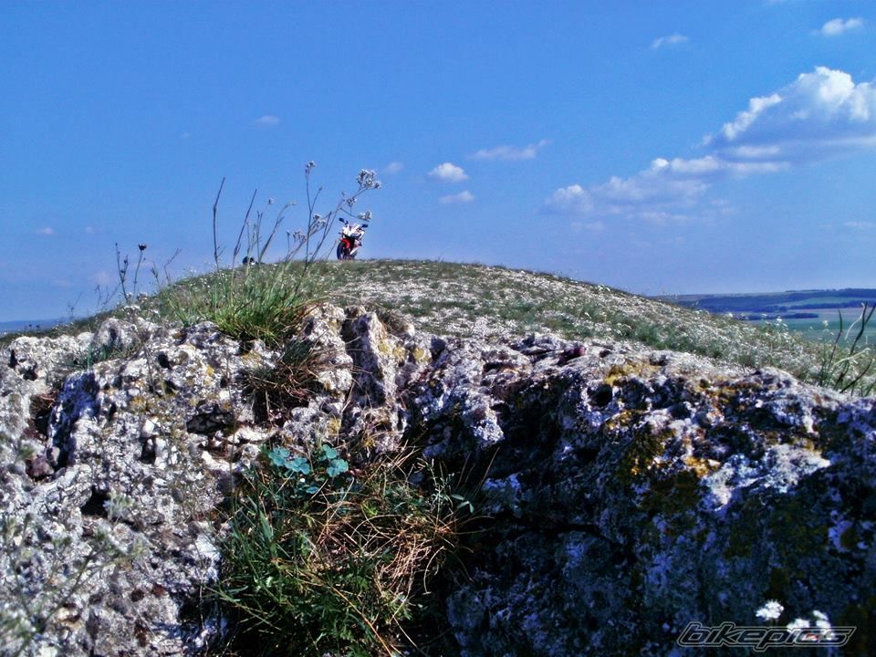Photo 2718182