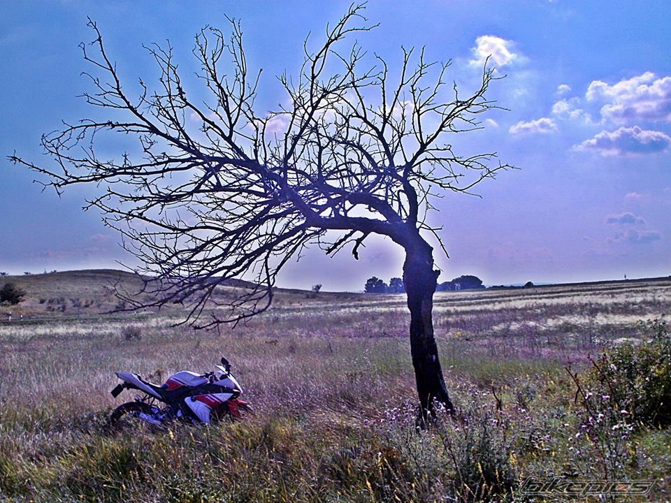 Bike Photo 2718187