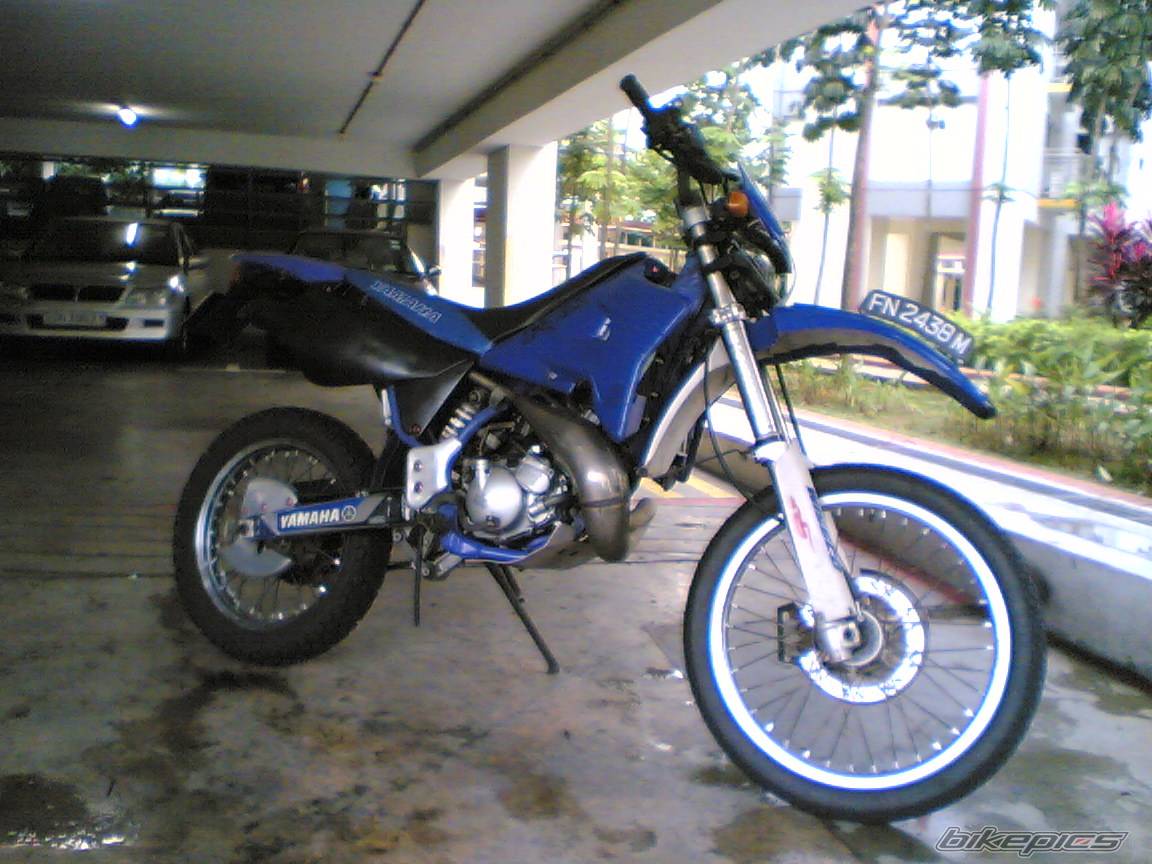Photo 271852