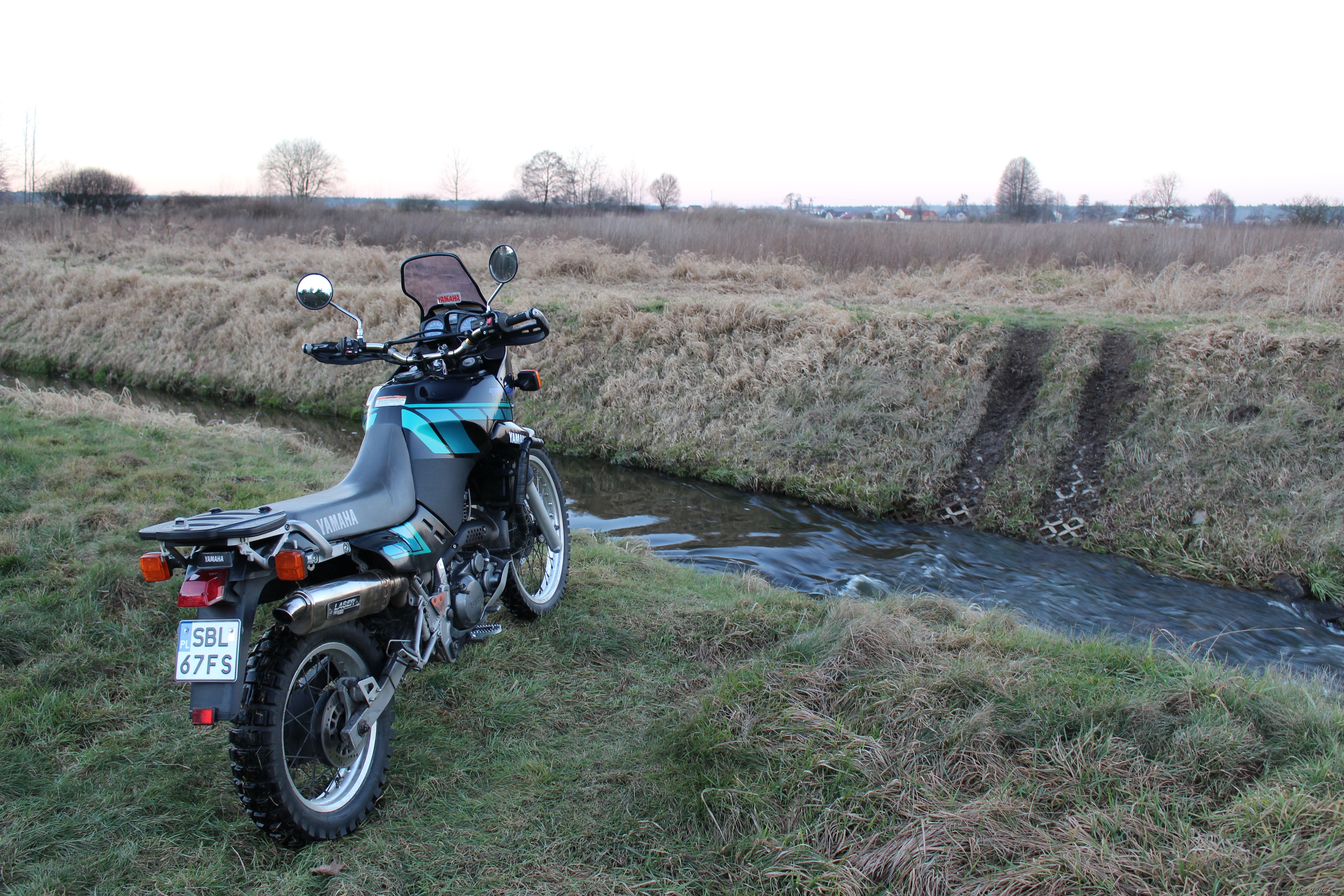Photo 2718575
