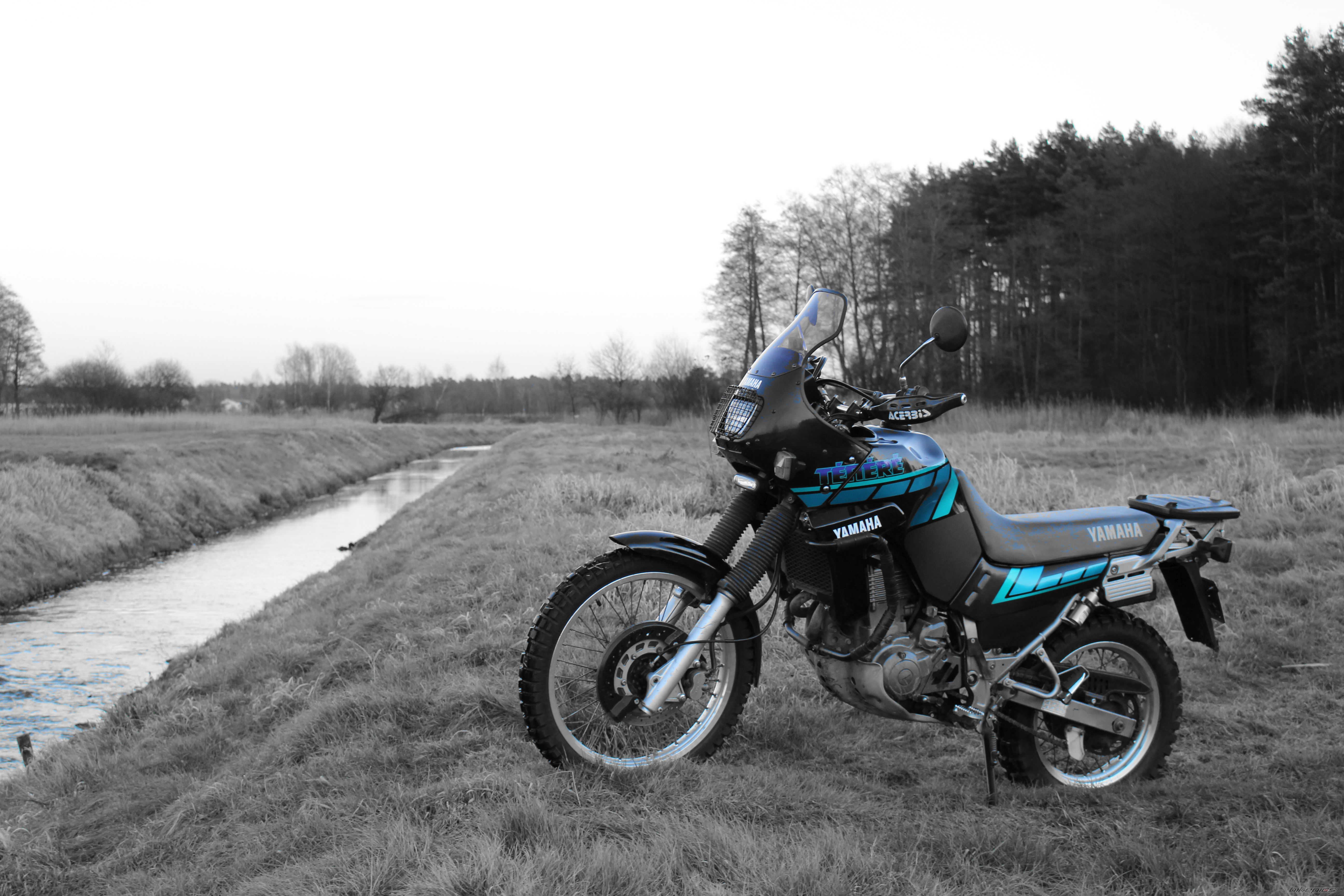 Photo 2718577