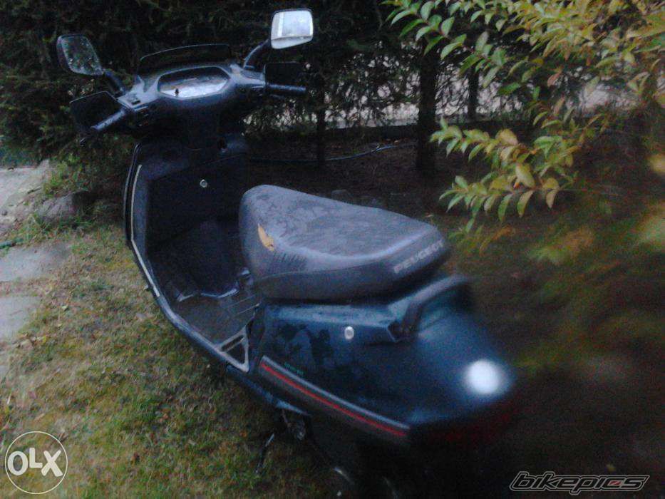 Photo 2718610