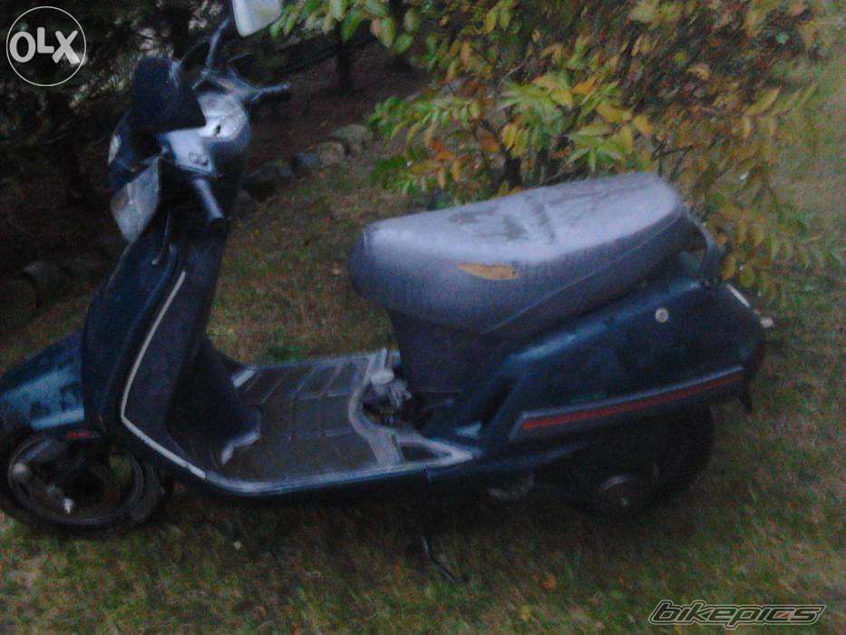 Photo 2718611