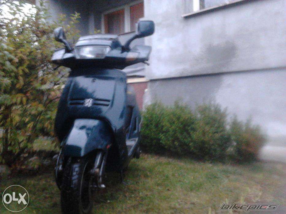 Photo 2718612