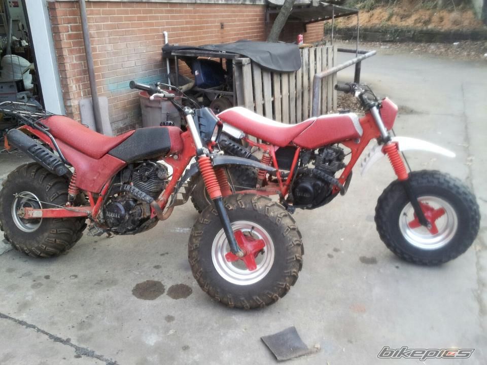 Photo 2718939