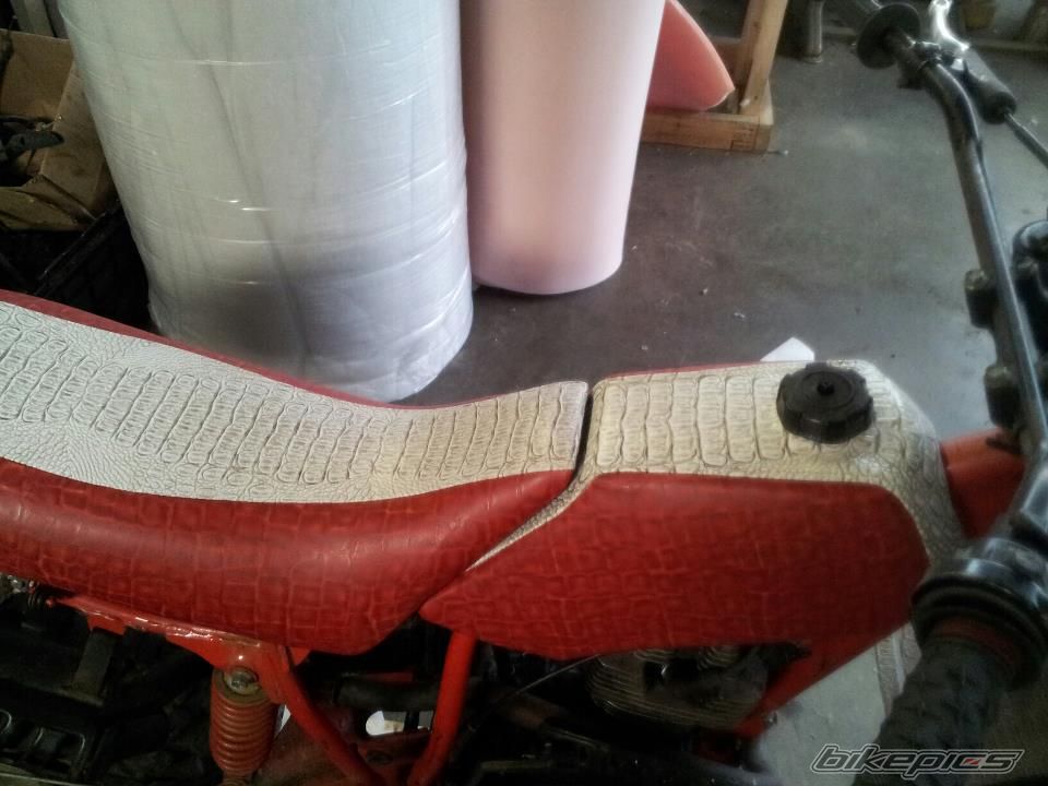 Photo 2718944