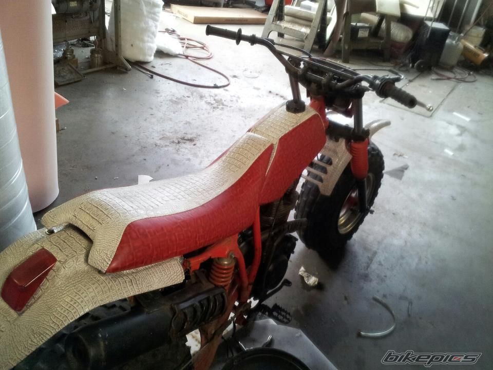 Photo 2718945