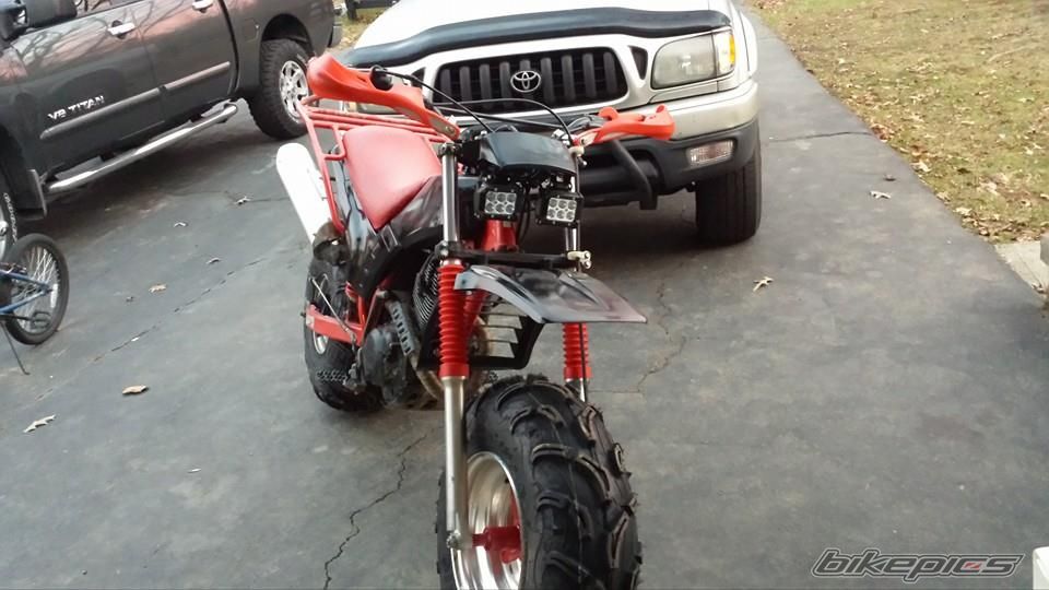 Photo 2718949
