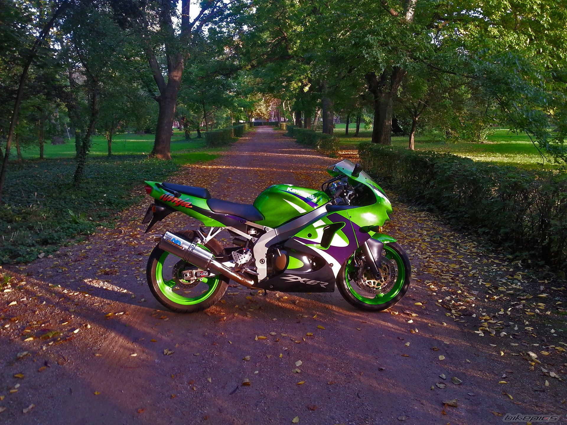 Bike Photo 2718978