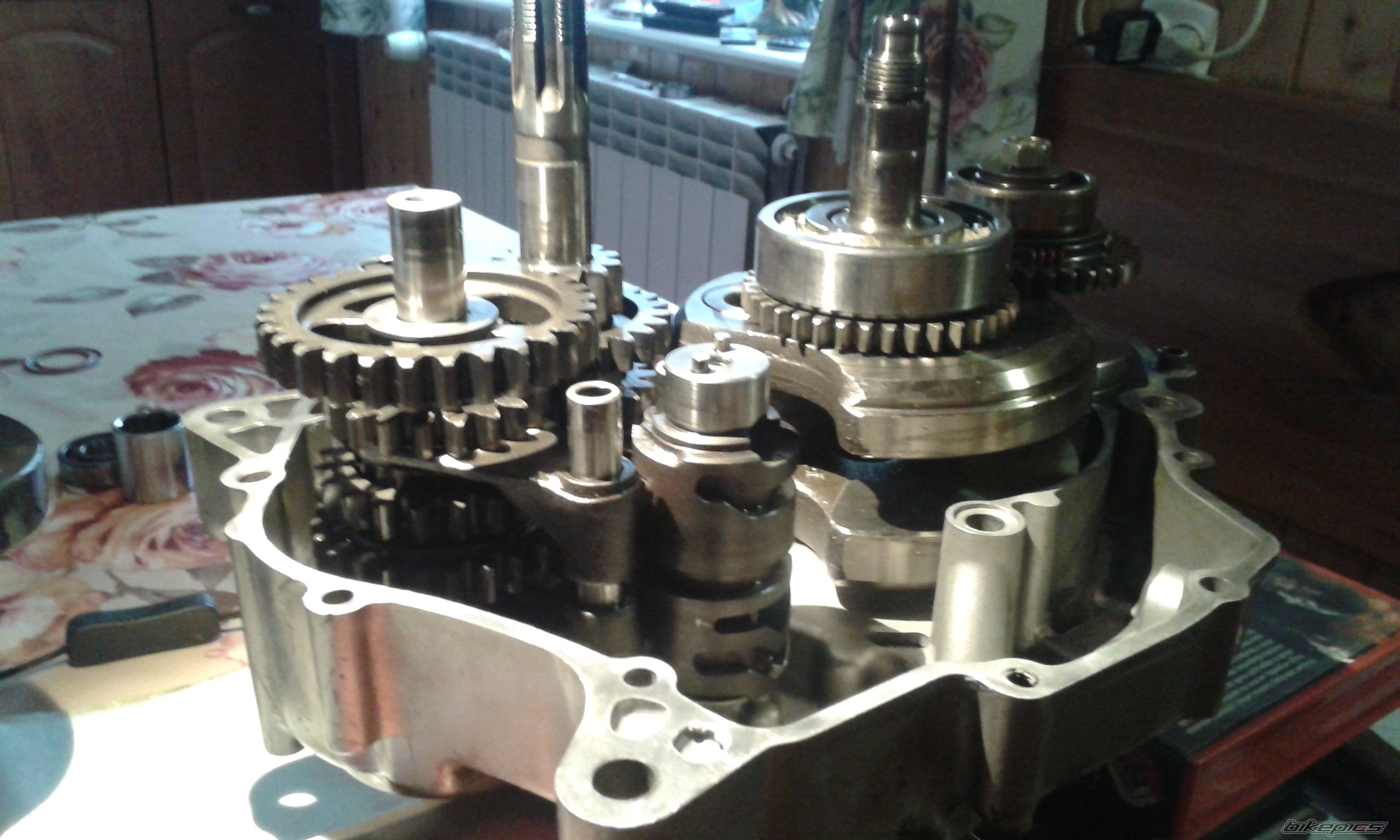 Photo 2719033