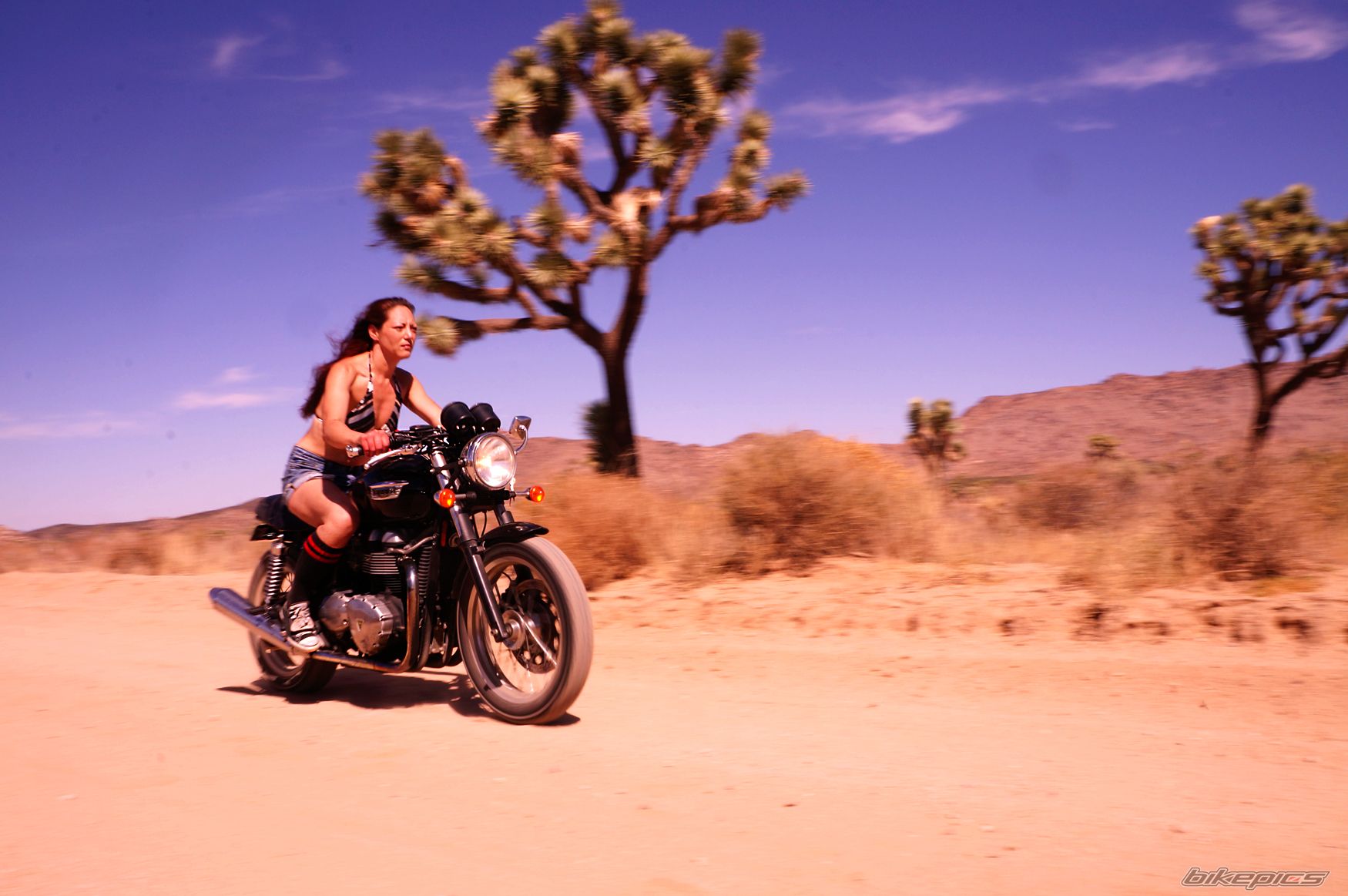 Bike Photo 2719281