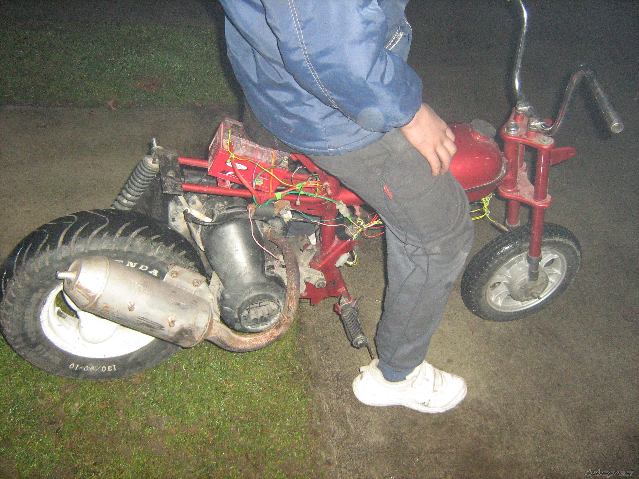 Photo 2719385