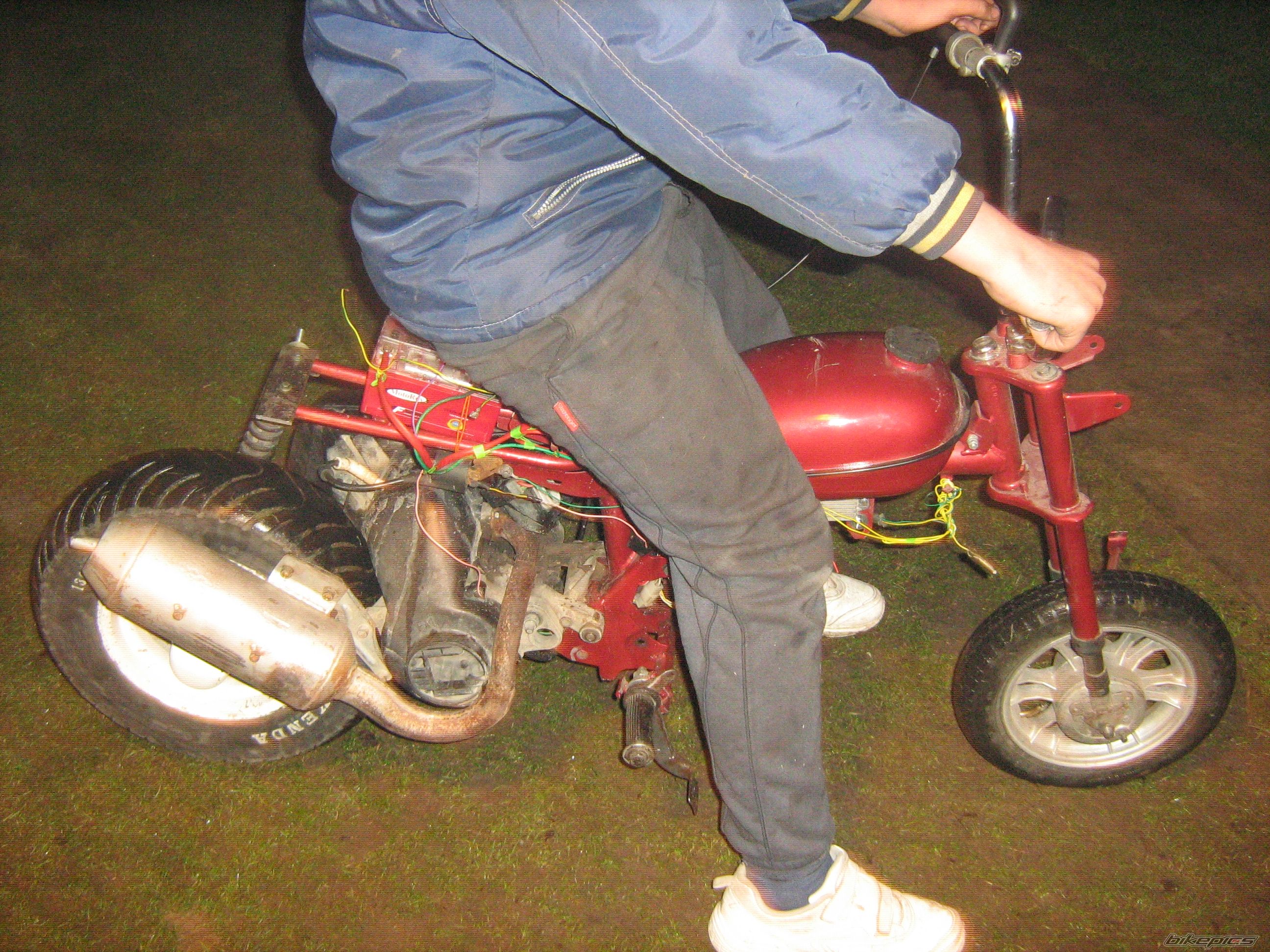 Photo 2719387