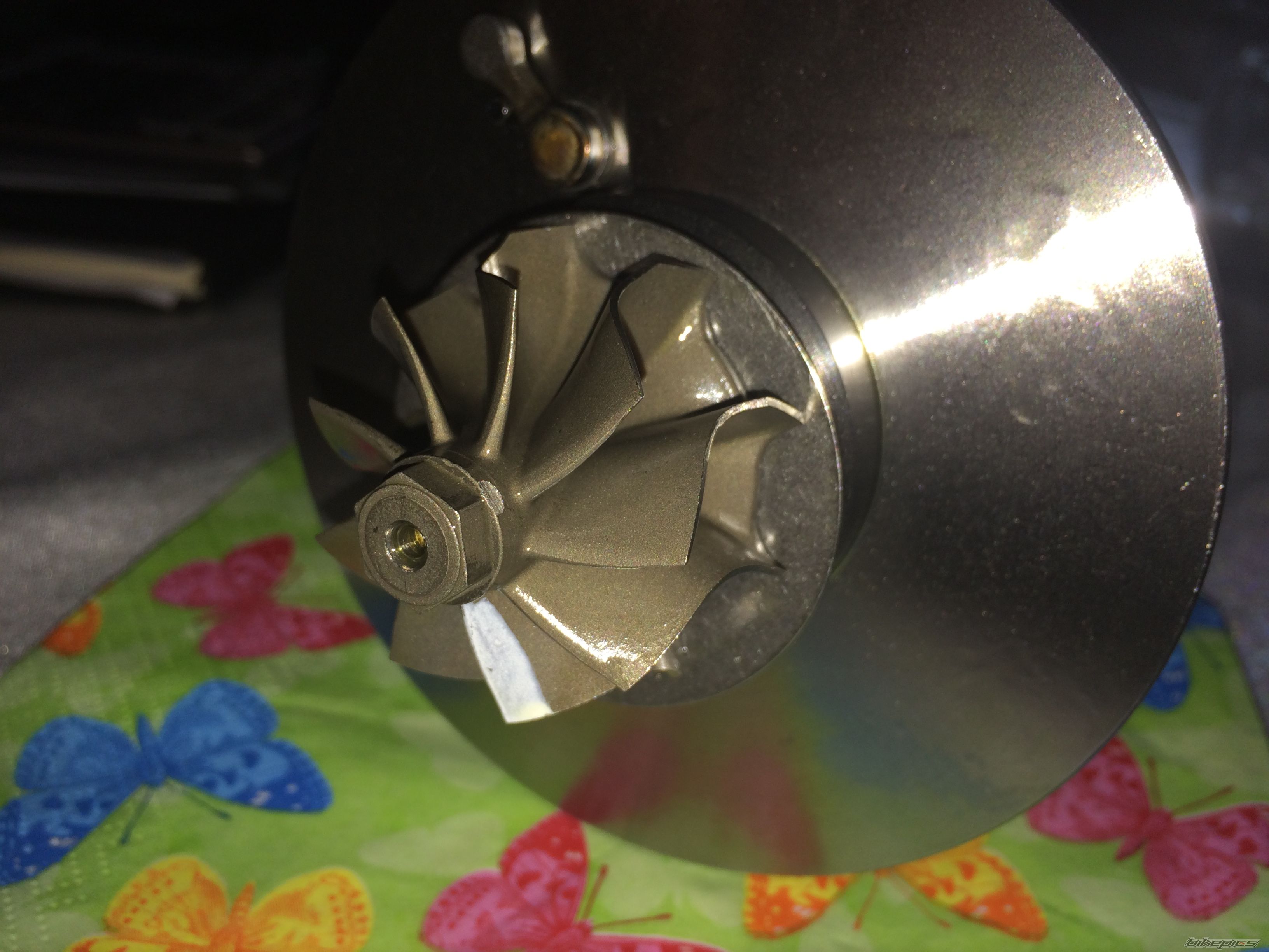 Photo 2719500