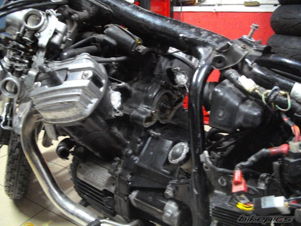 Photo 2719615