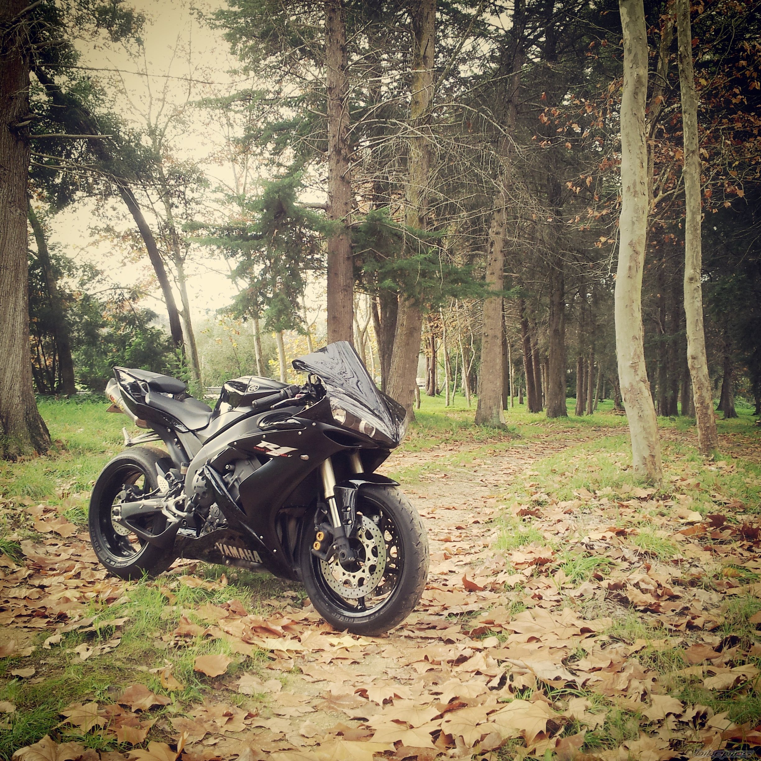 Bike Photo 2719623