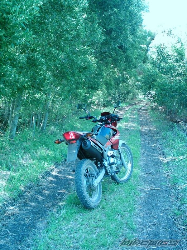 Bike Photo 2719652