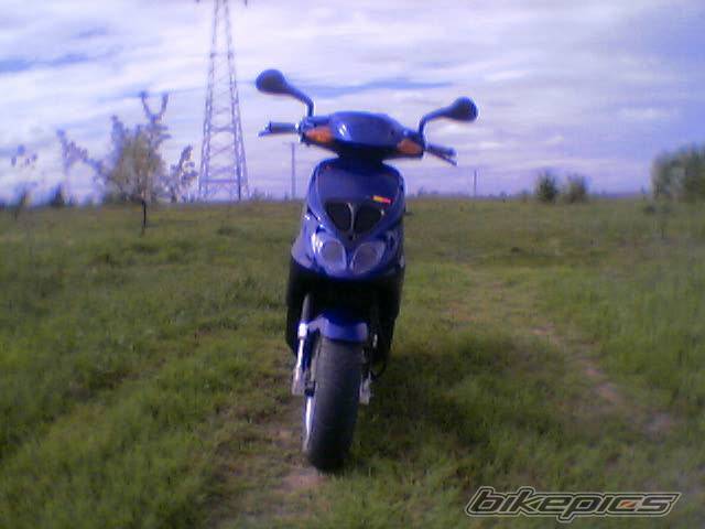 Photo 271966