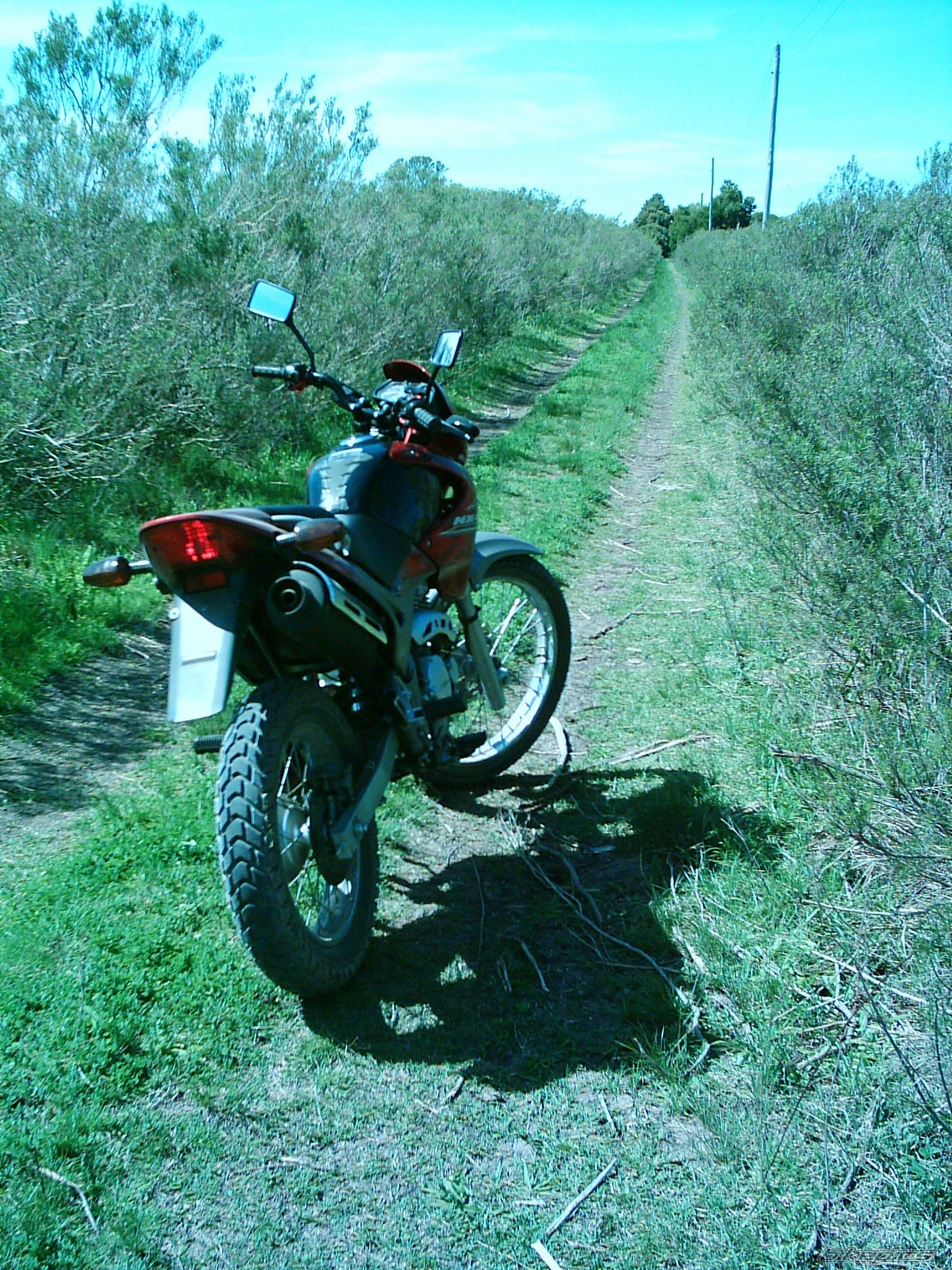 Photo 2719662