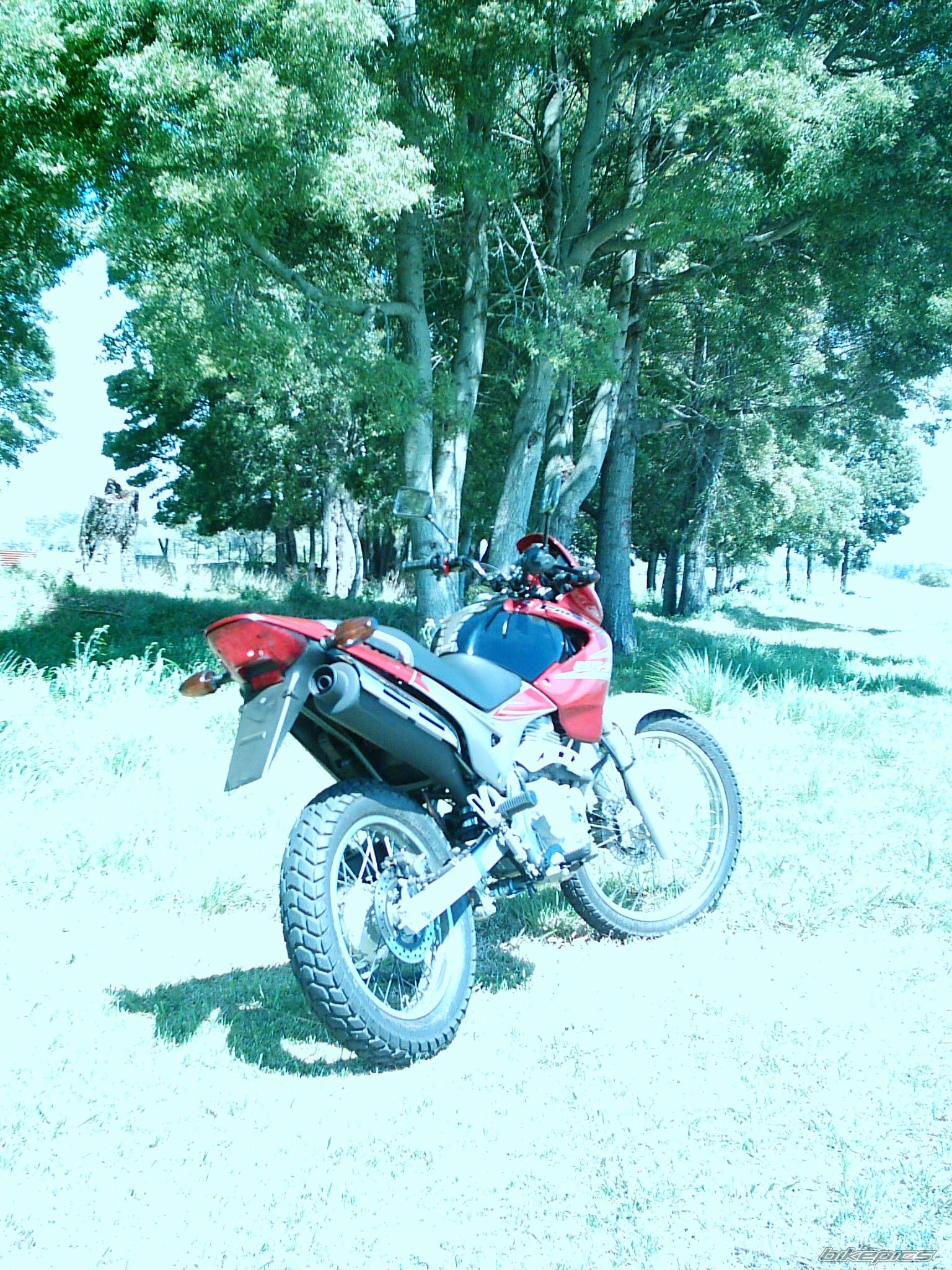 Photo 2719666