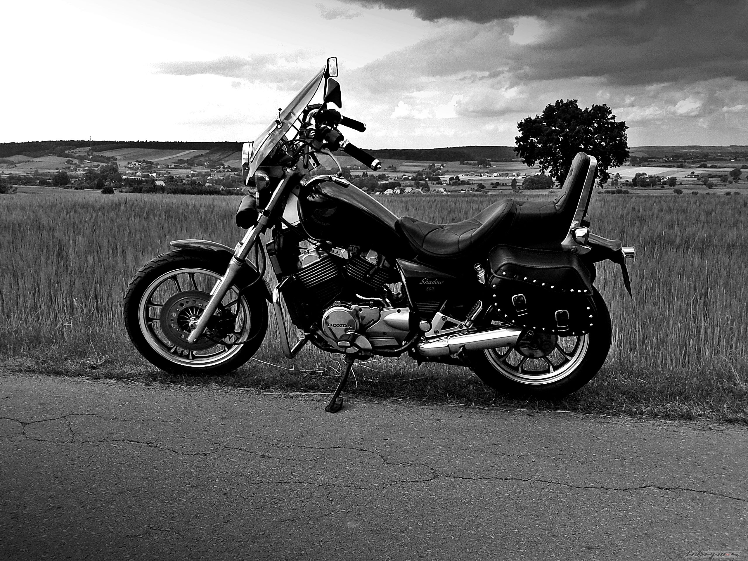 Photo 2719704