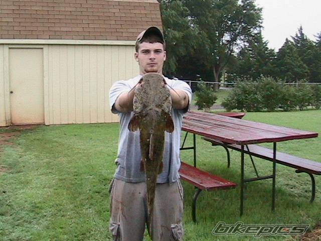 Photo 271983