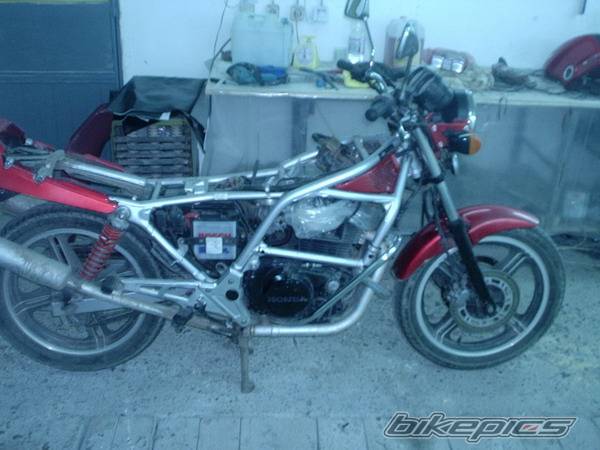 Photo 271991