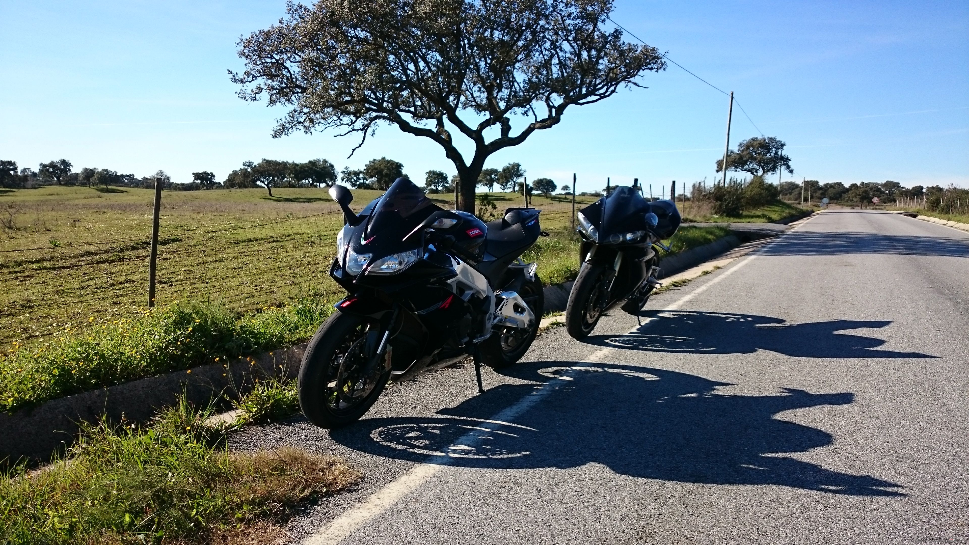 Photo 2719929
