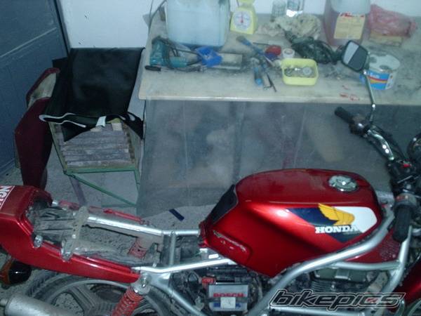 Photo 272029