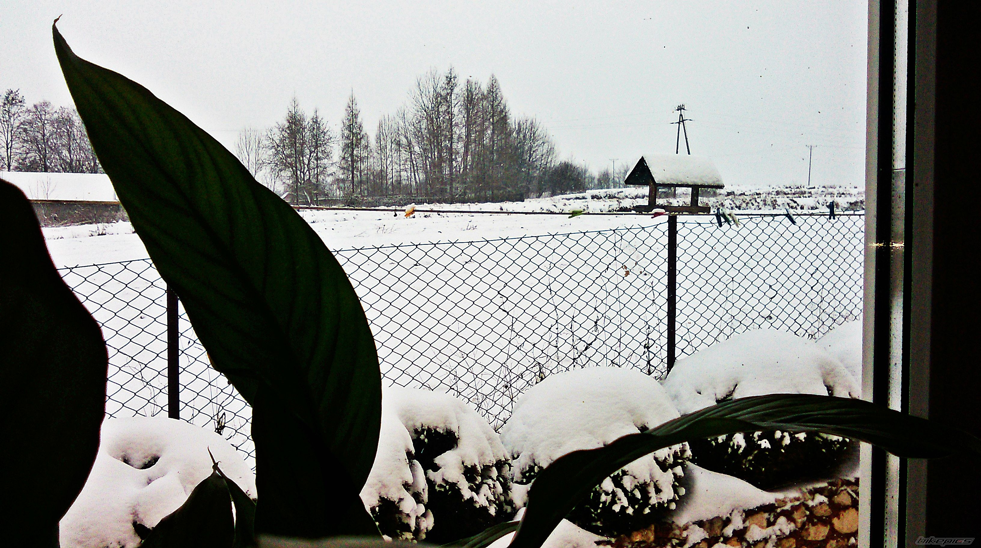 Photo 2720320