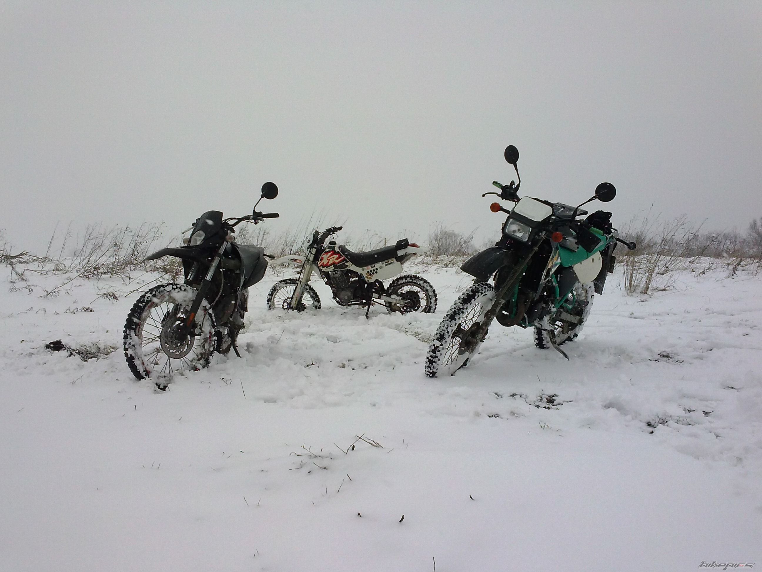Photo 2720329