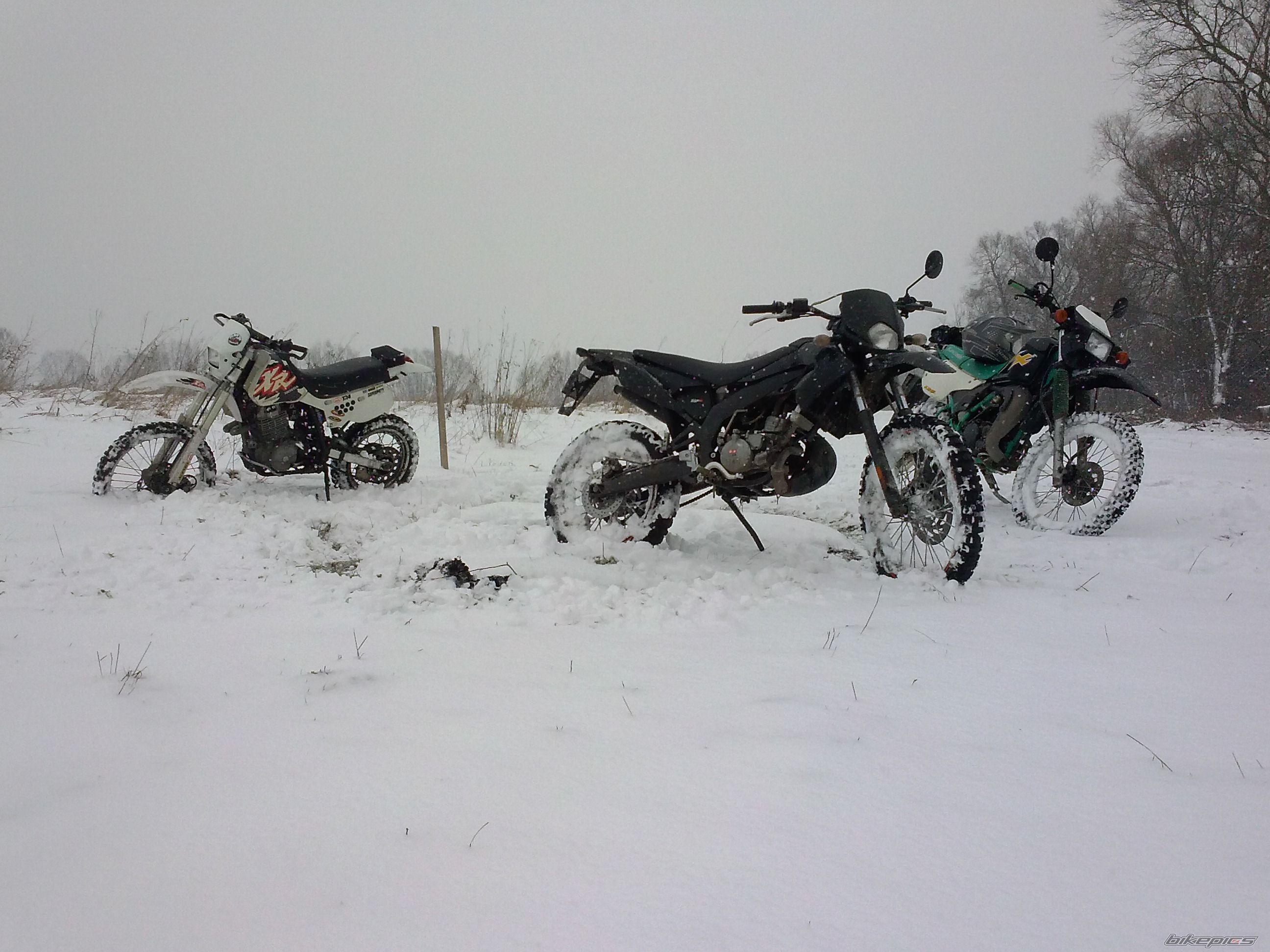Photo 2720330