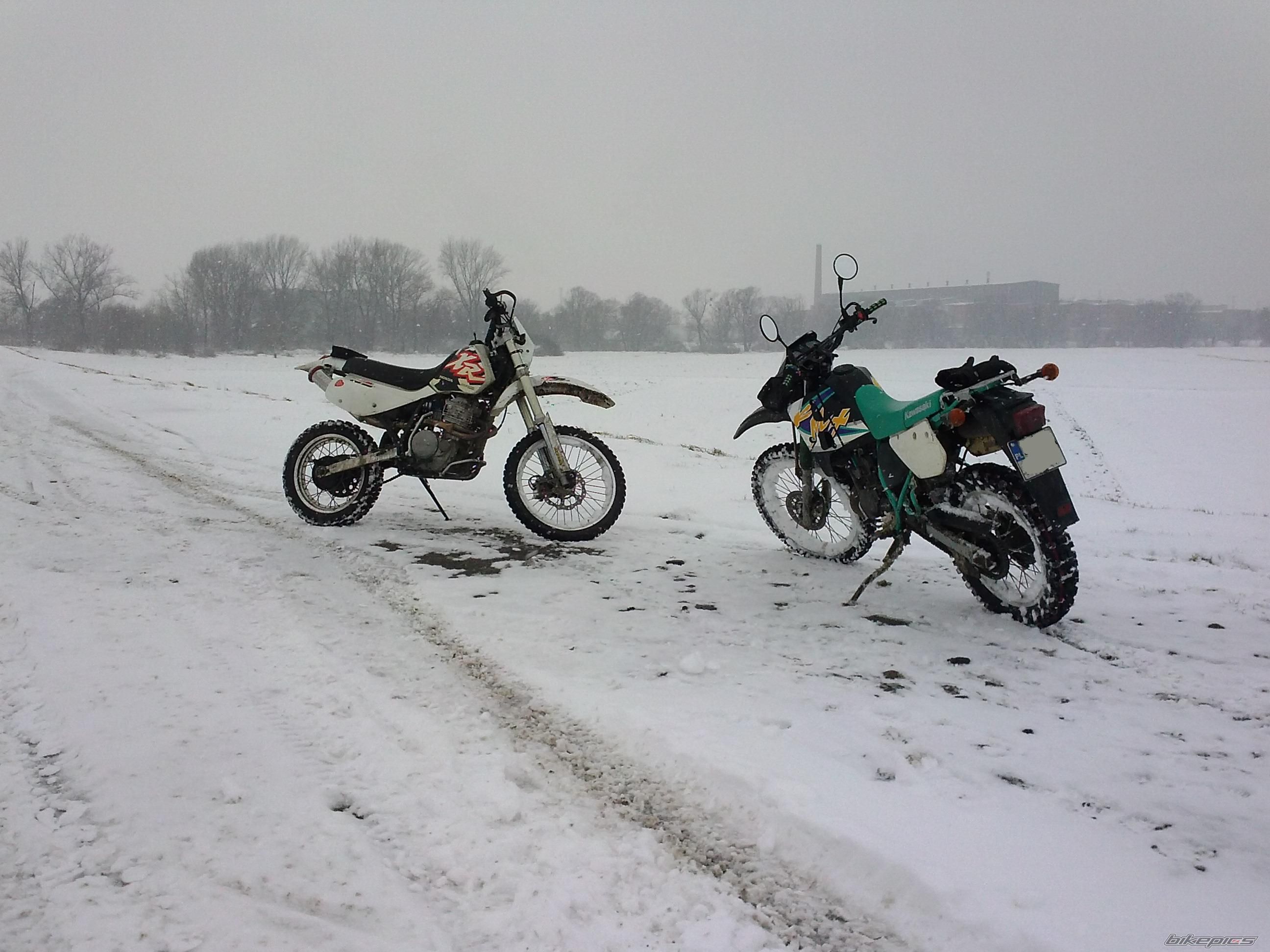 Photo 2720333