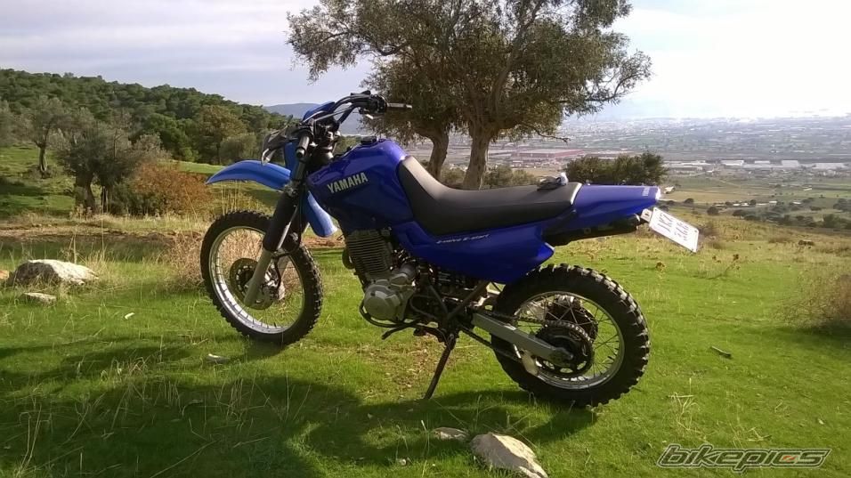 Photo 2720362
