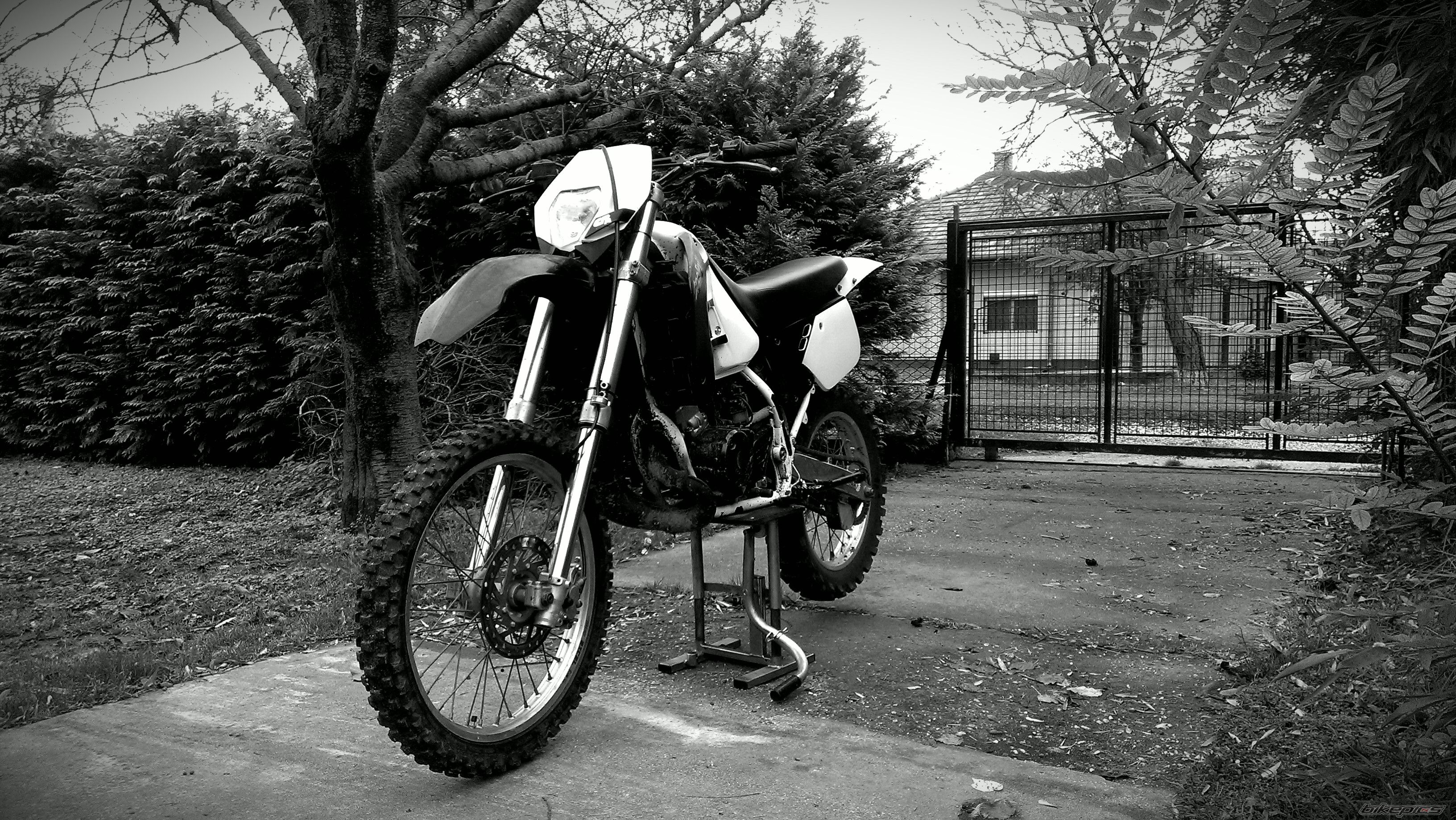 Photo 2720381