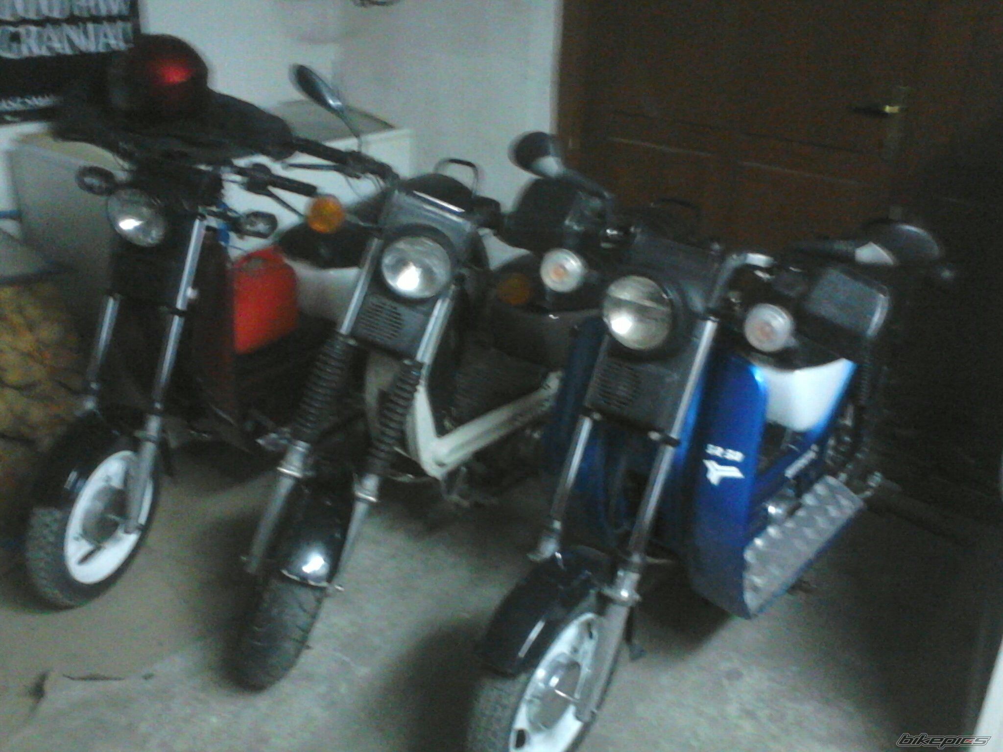 Photo 2720441