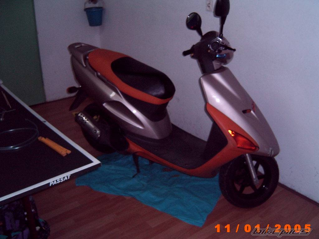 Photo 272046
