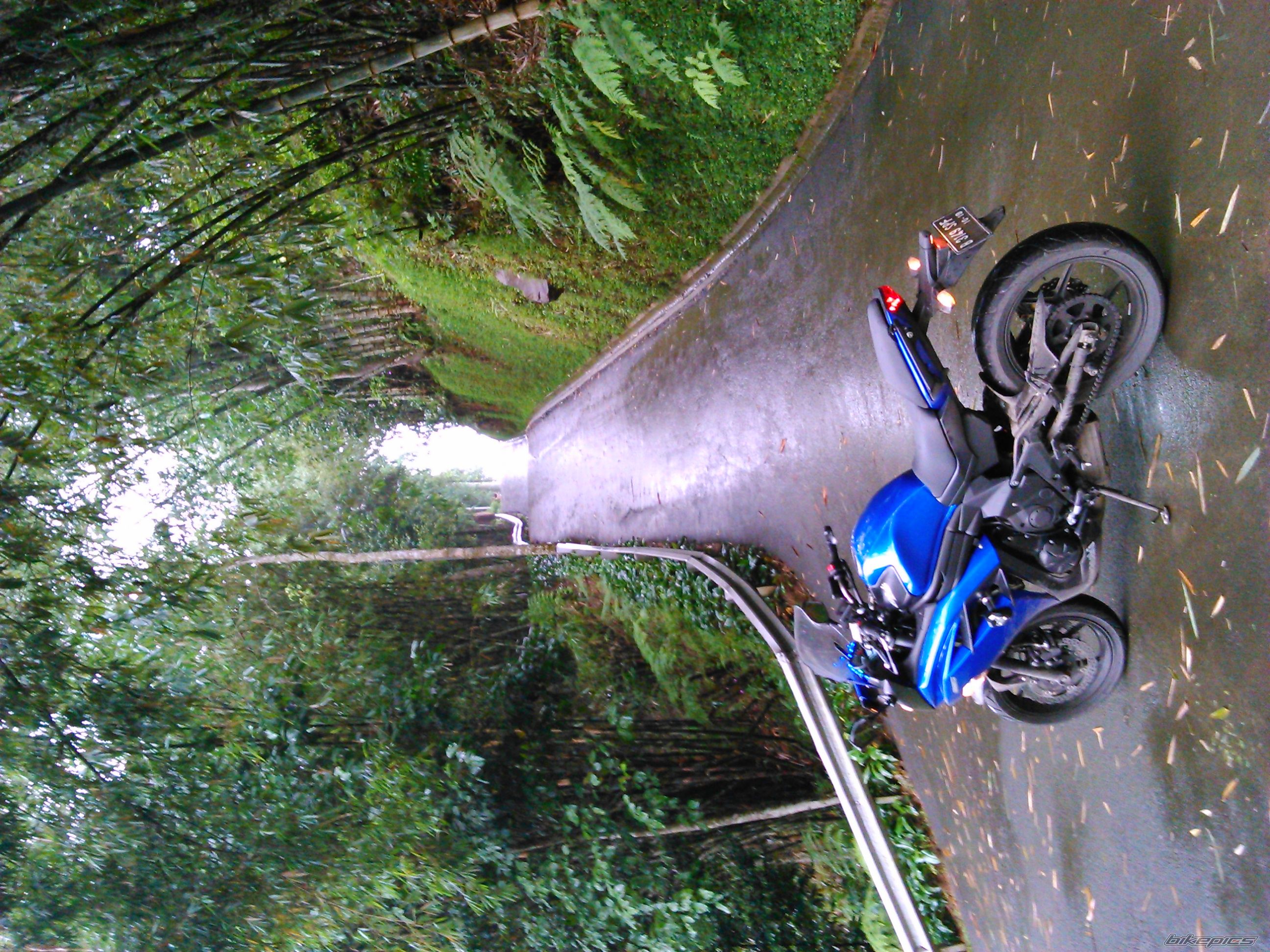 Photo 2720464