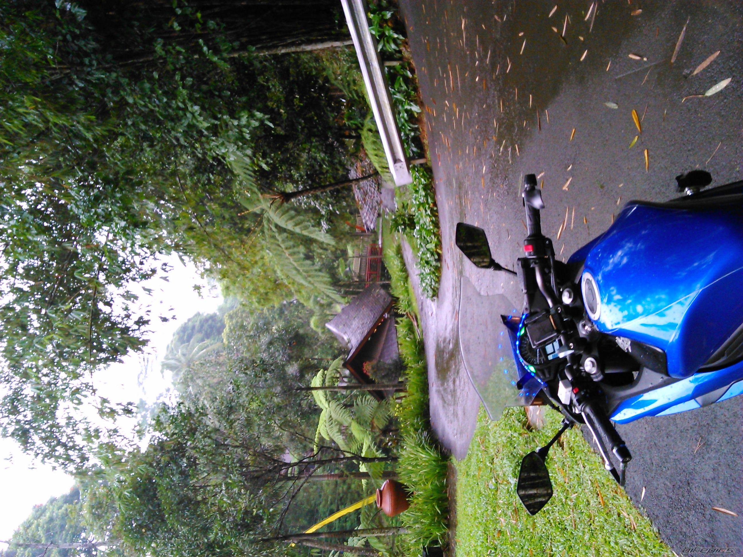 Photo 2720466