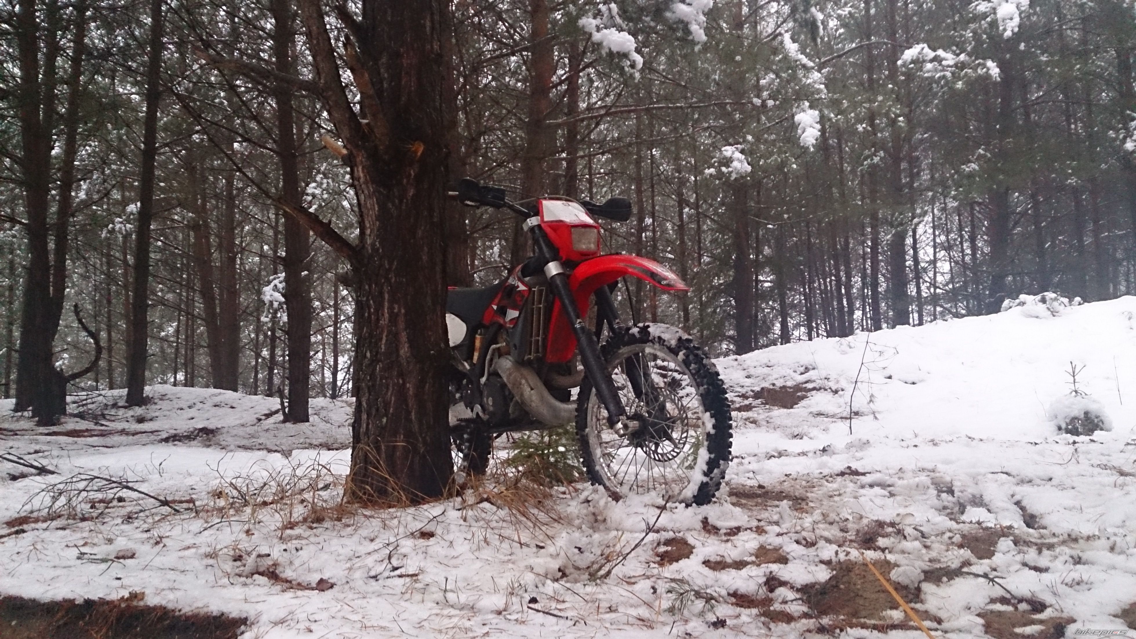 Photo 2720542