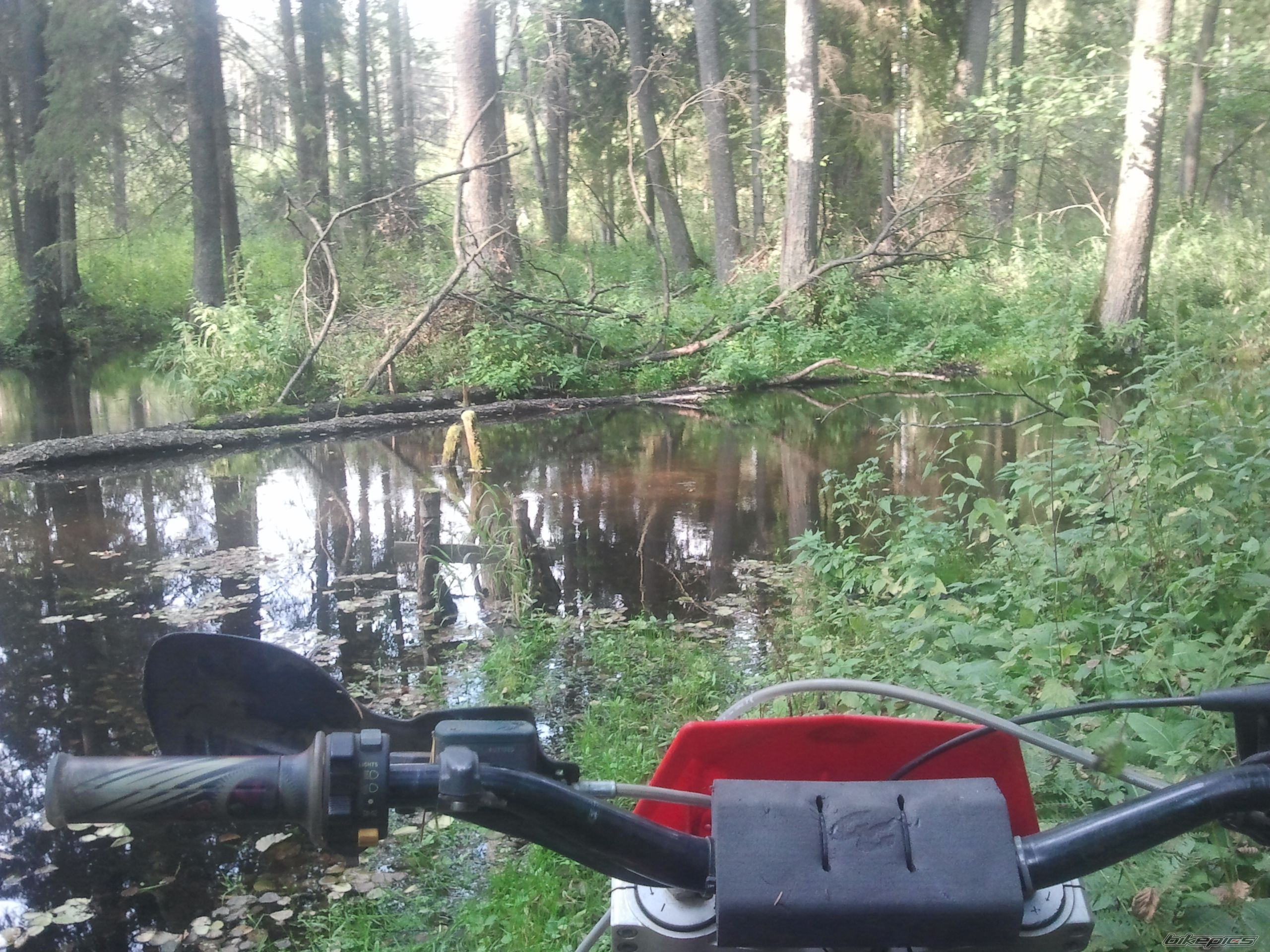Photo 2720546