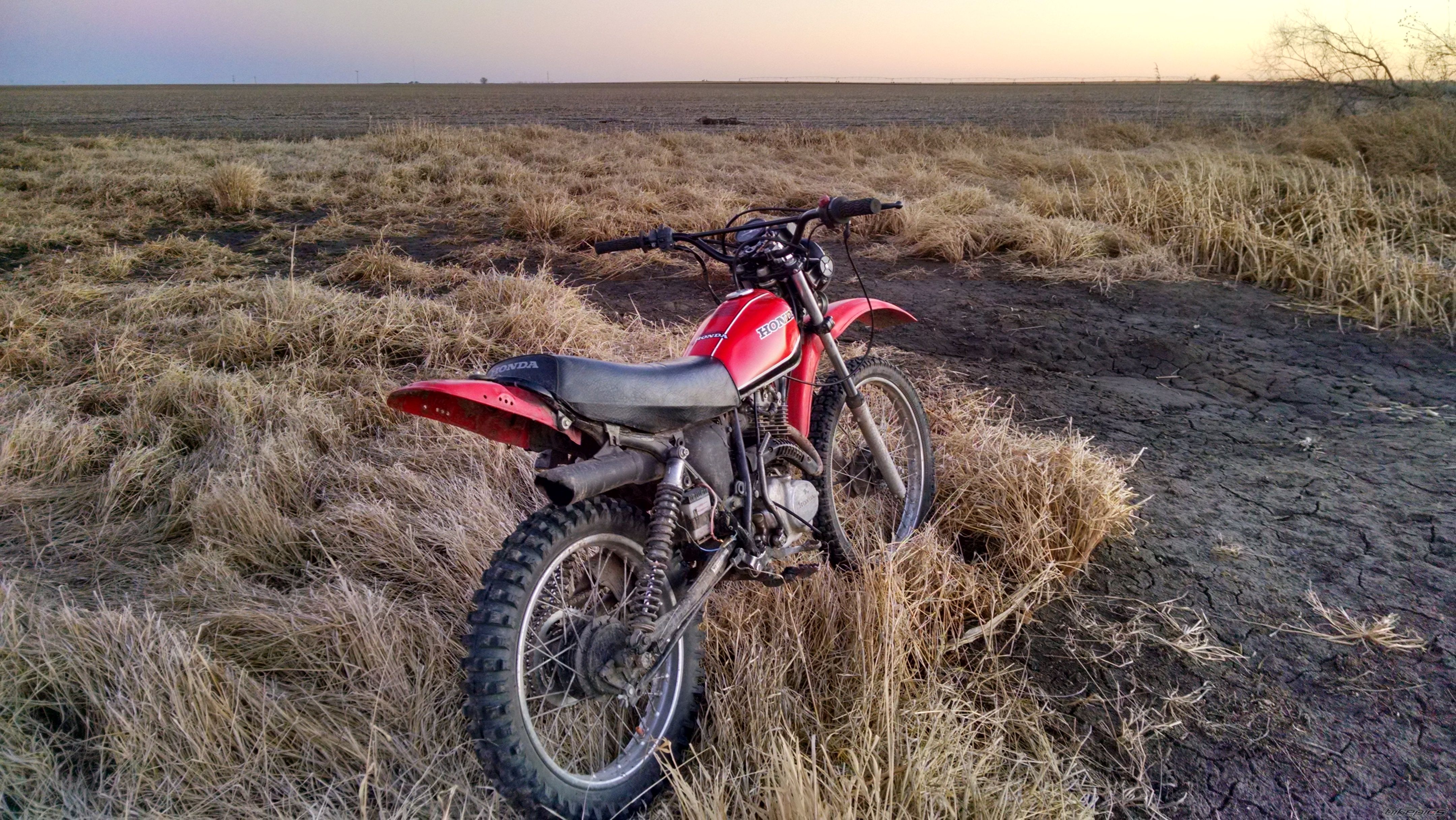 Photo 2720666