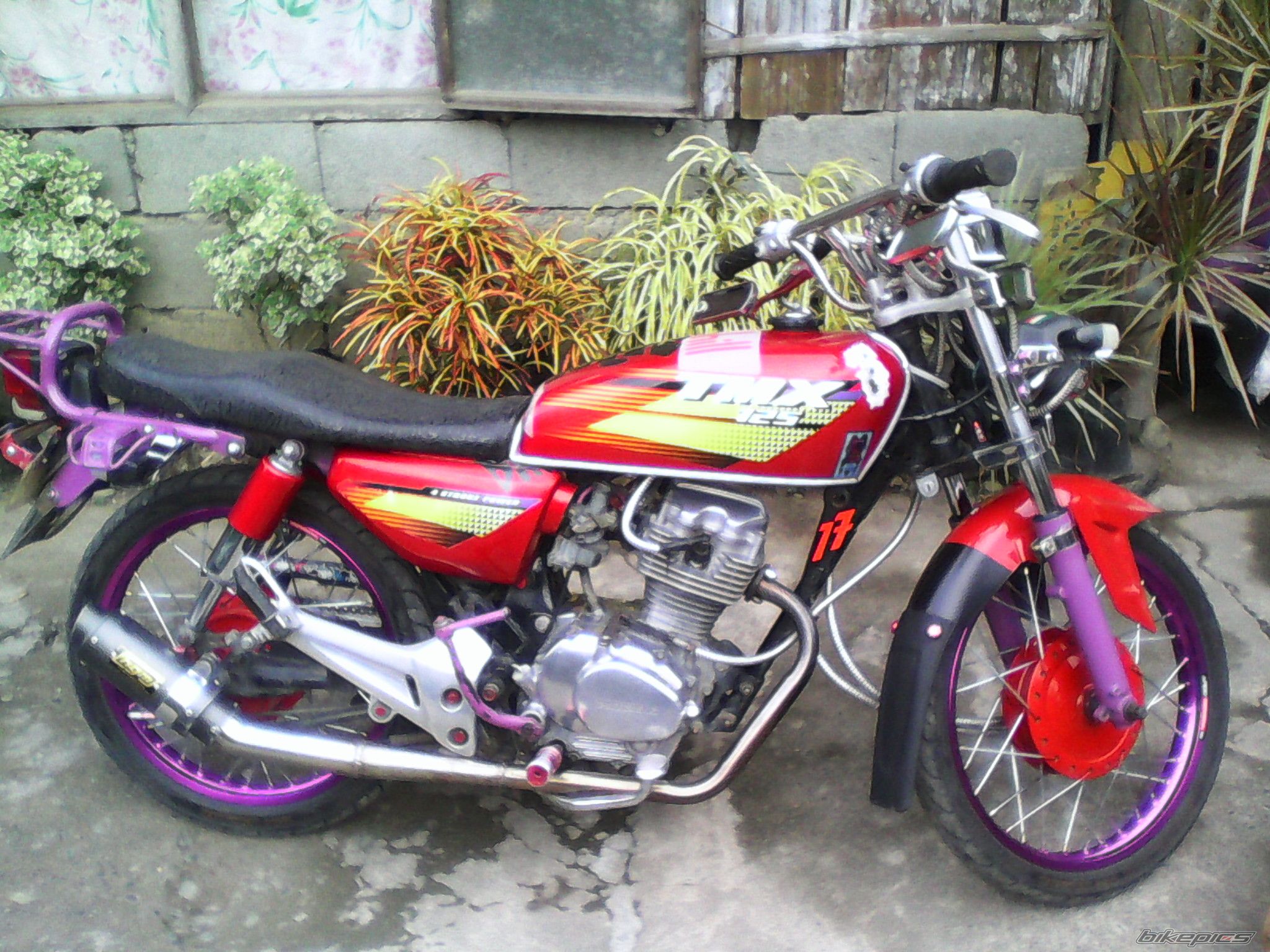 Photo 2720693