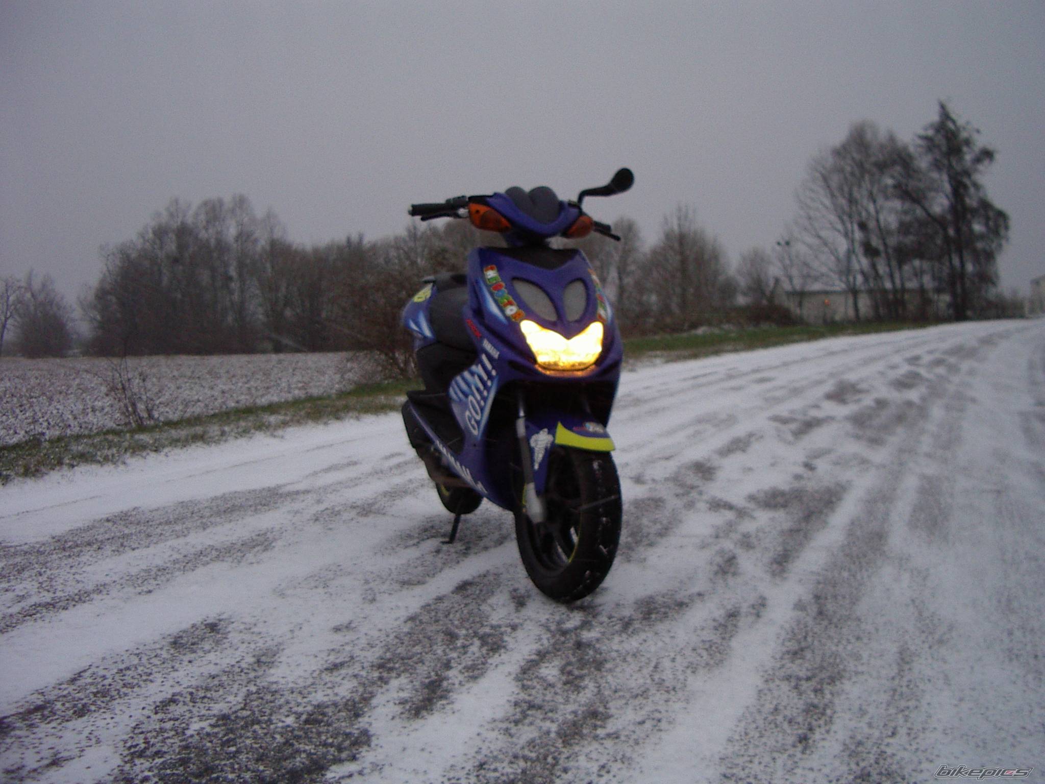 Photo 272071