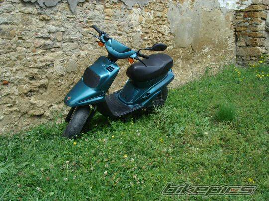 Photo 272079