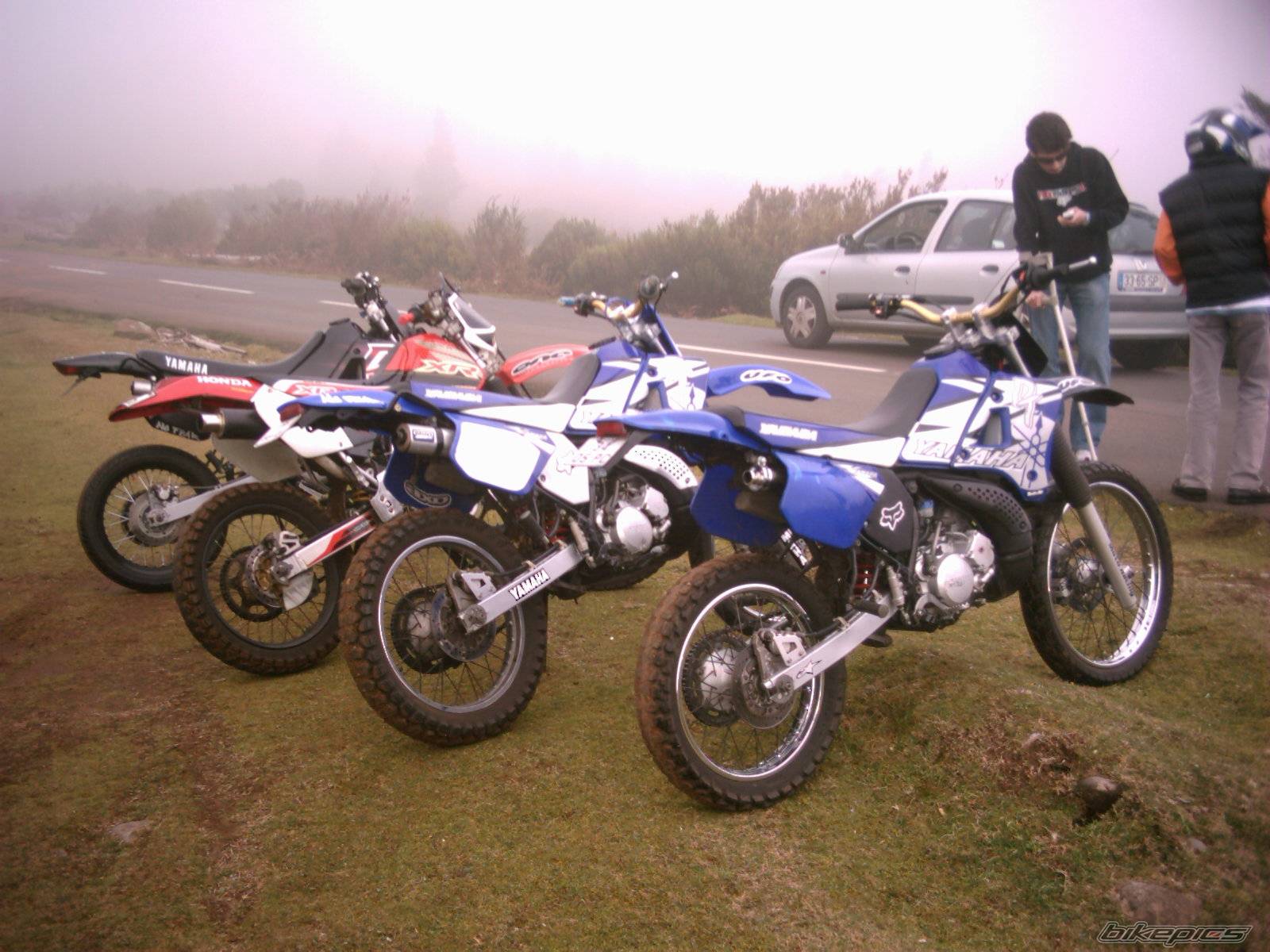 Photo 272090