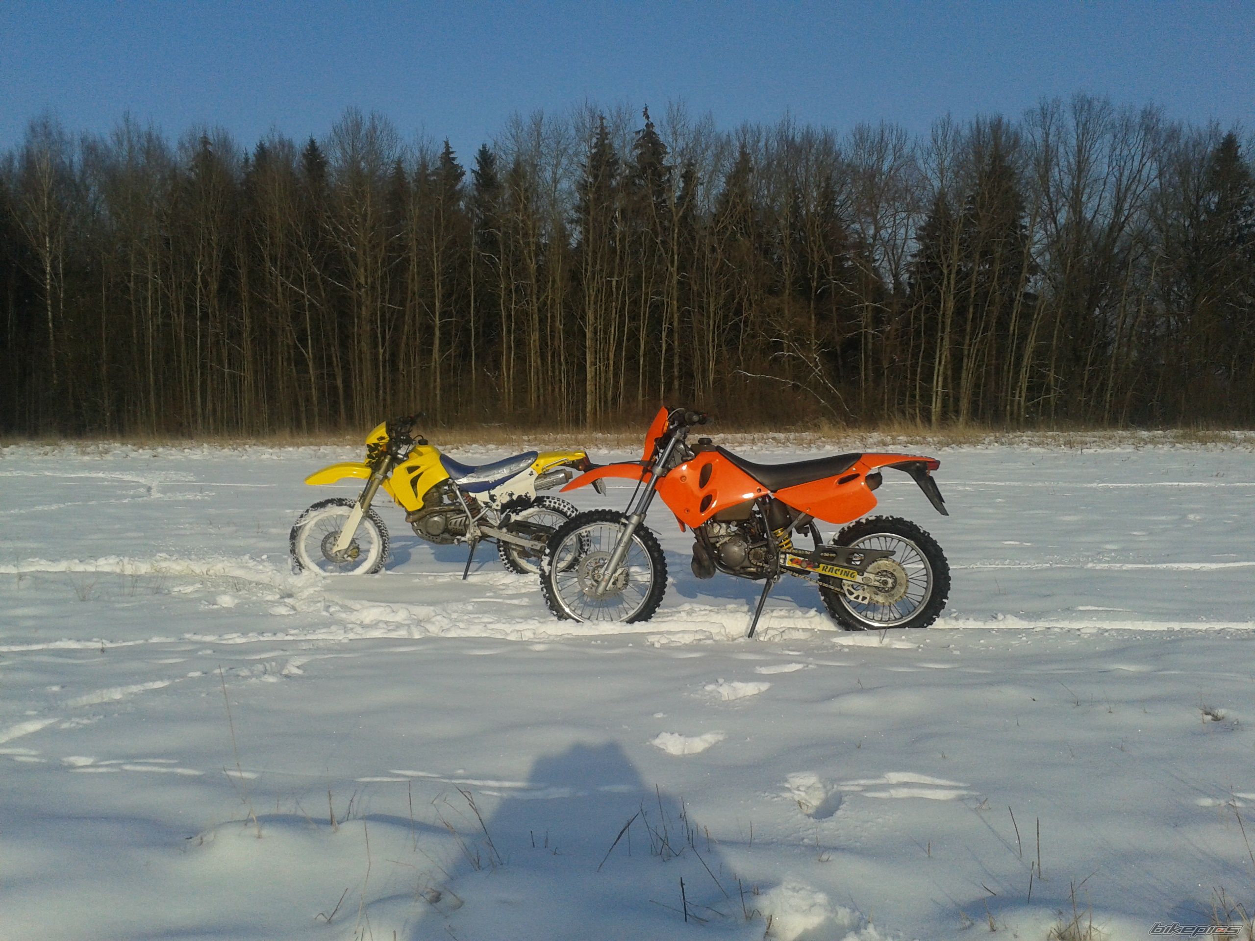 Photo 2720921